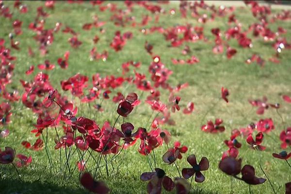 Les coquelicots sont fait à partir de plastique recyclé et de bouchons peints en noirs.