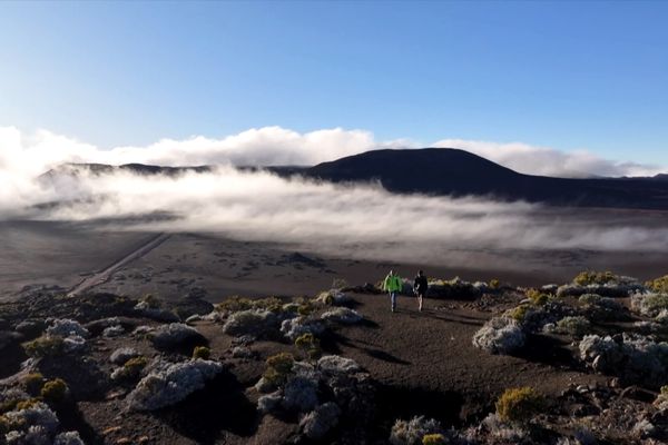 À la découverte de l’un des volcans les plus actifs du monde, le Piton de la Fournaise !