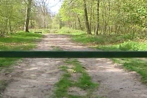  L'homme est soupçonné d'une trentaine de viols ou tentatives de viols dans la forêt de Sénart, dans l'Essonne, entre 1995 et 2001.