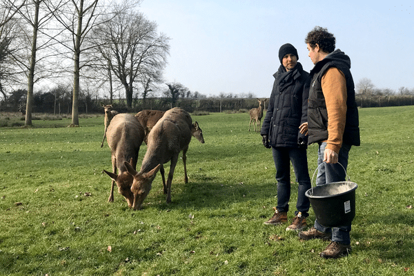 Le cuisinier Grégory Cuilleron dans la ferme des cerfs de la Fardellière