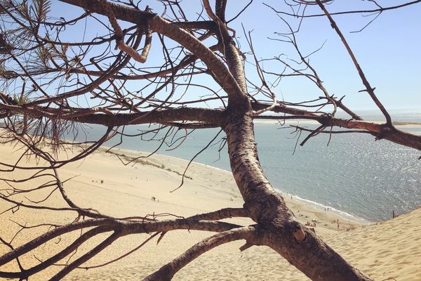 Le soleil sera au rendez-vous sur une bonne moitié sud de la région. (Vue depuis la dune du Pilat).