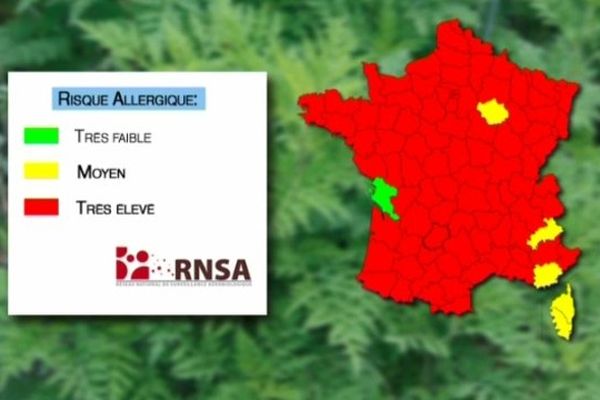 Carte du Réseau National de Surveillance Aérobiologique (R.N.S.A.). 