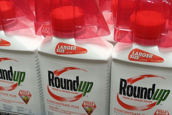 Le Roundup, l'un des plus tristement célèbre produits contenant du glyphosate. 