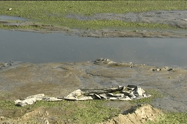 Lieu où un joggeur a été retrouvé mort dans l'estuaire du Gouessant à Hillion (22). Bâche laissée par les sauveteurs.