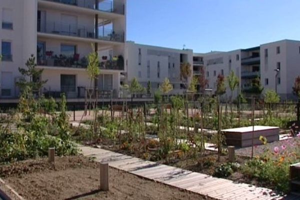 Jardins de l'éco-quartier du Vidailhan