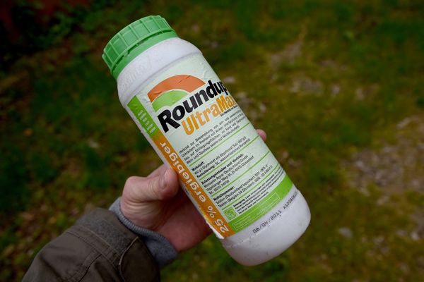 Image illustration. - Le composant chimique Glyphosate figurant sur un flacon de pesticide (Roundup)