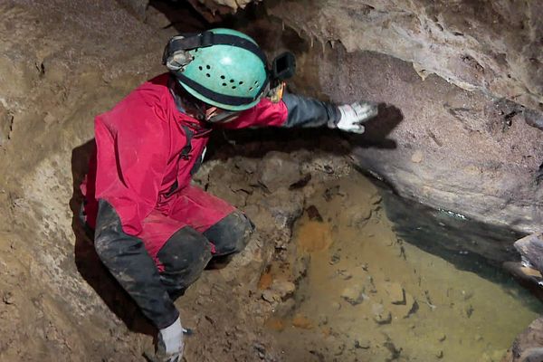 Sécheresse : Bruno Bouchard montre le niveau que devrait atteindre la nappe phréatique en temps normal dans cette grotte de l'Yonne