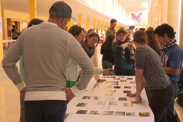 Un atelier de la Fresque du Climat à Rennes