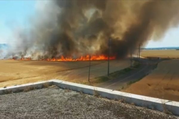 VIDEO. Feux de récolte : pompiers et agriculteurs alliés face au danger