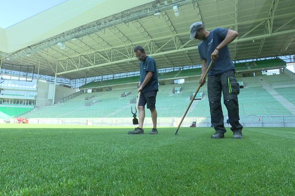 L'alternance des matches de rugby et de football rend le travail des jardiniers du stade Geoffroy Guichard de Saint-Etienne plus complexe.