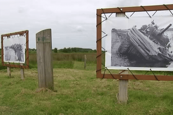 L'exposition est à découvrir jusqu'au 29 juin à la maison du Parc à Saint-Côme-du-Mont