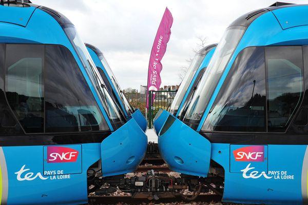 L'attelage régions/SNCF au bord de la rupture, trop chers pour un service médiocre, les Autorités Organisatrices de Transport se tournent vers les nouveaux opérateurs privés pour faire rouler leurs TER