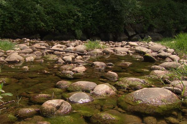 Le débit des cours d'eau s'est amélioré mais la situation reste fragile