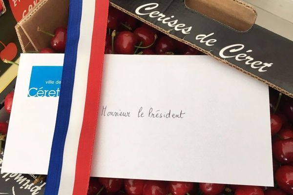 Les cerises primeurs de Céret cueillies samedi 4 mai prennent l'avion lundi 6 direction le Présidence de la République - 2019