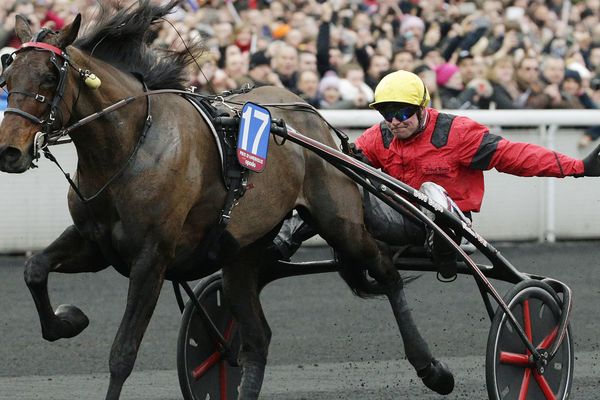 Bold Eagle remportait son 2ème Prix d'Amérique le 27 janvier 2017.