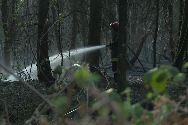 Photo d'illustration de l'incendie qui a ravagé 38 hectares de forêt à Espagnac, en Corrèze, et que l'ancien chef du centre de secours de Marcillac-la-Croisille est accusé d'avoir déclenché en plein confinement.