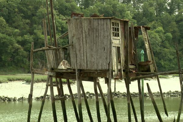 Les 17 cabanes à carrelet, situées à La Vicomté-sur-Rance et à Saint-Samson-sur-Rance, dans les Côtes-d'Armor, sont pour la plupart à l'abandon