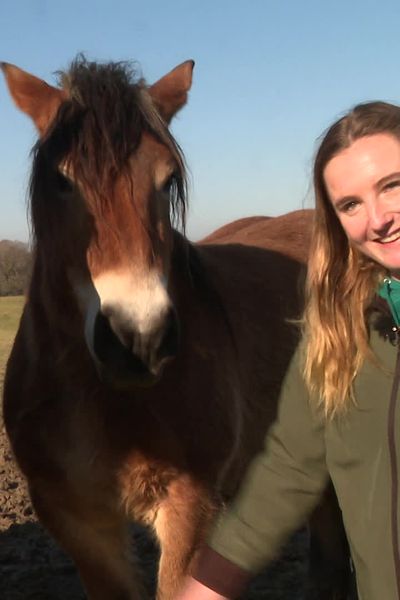 Marina Hirigoyen, éleveuse de brebis et de chevaux de trait