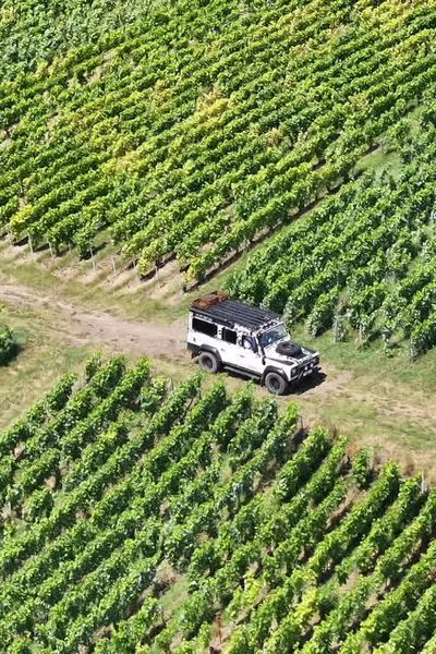 Suivez Layla Landry sur les chemins de la route touristique du champagne.