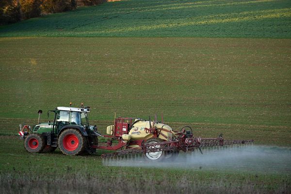 Le 31 décembre 2020, le Conseil d'Etat a tranché : la réglementation de l'usage des pesticides relève de la seule compétence de l'Etat.