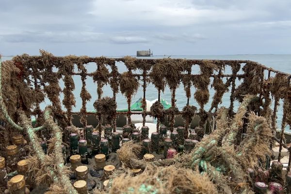 Deux amis, l'un viticulteur, l'autre ostréiculteur, ont fait le pari de commercialiser avec des huîtres des bouteilles vieillies dans l'océan. Le 6 juin 2022, après neuf mois passés au large de Fort Boyard, ils ont sorti les bouteilles de l'eau.