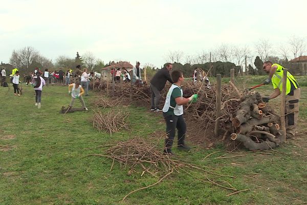 A Elne, commune des Pyrénées-Orientales, une quarantaine d’enfants ont érigé une haie de "benjes".