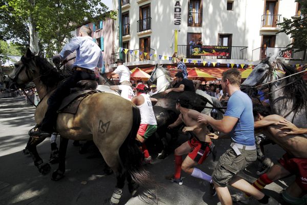 La féria de Céret, édition 2018.