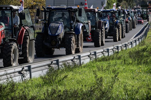 Des mobilisations d'agriculteurs ont déjà eu lieu dans plusieurs départements. (illustration)