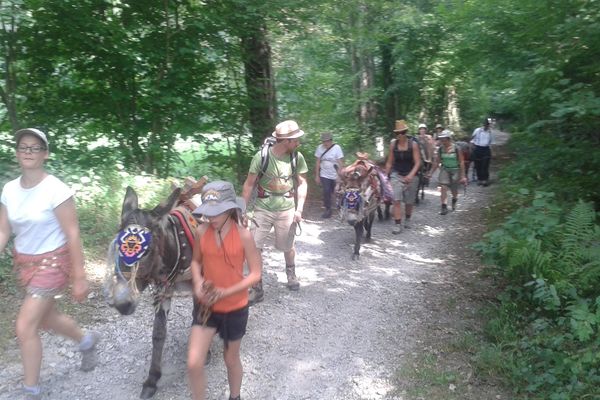 Une promenade en bonne compagnie