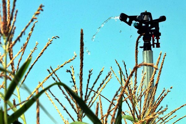 L'usage de l'eau et les prélèvements en milieu naturel fortement limités par la préfecture de la Vienne pour les particuliers et les agriculteurs.