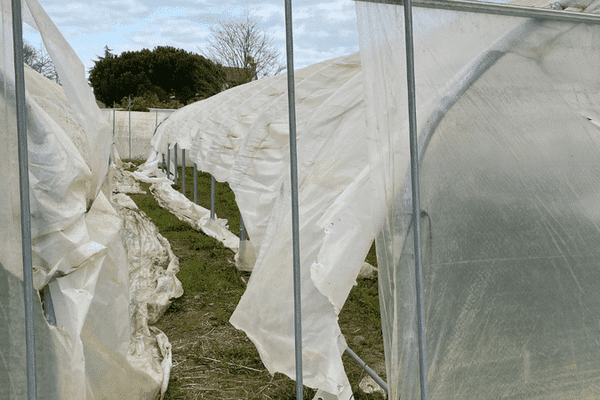 Les serres des jardins du coeur de Blois lacérées au cutter