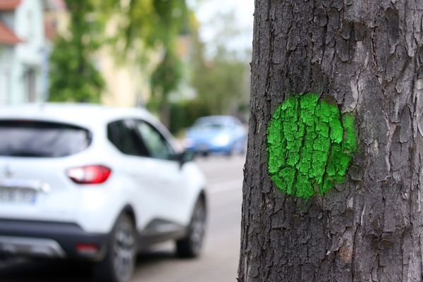 Des ronds verts sont effacés tous les jours, depuis lundi 10 août, par les services de la mairie de Besançon.