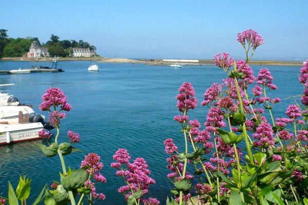 Port de Tréboul