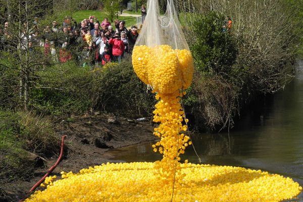 Une Duck Race organisée à Quimper en 2016