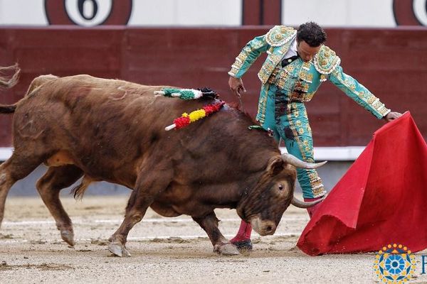 Madrid, 21 mai. Toro de Las Ramblas. Traslúcido ne s'emploie guère, mais la naturelle de Ferrera est une merveille.