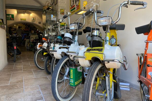 Le fameux Solex  a son musée dans le Var !