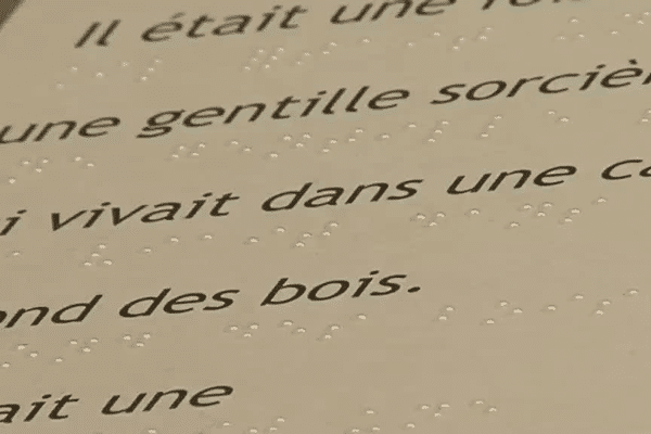 Les textes sont en braille, les images en relief.