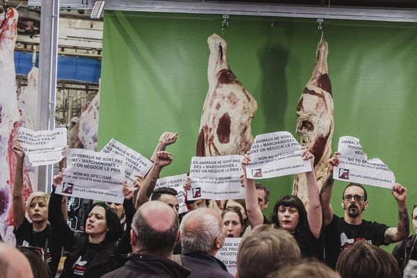 Les militants de l'association 269 Life Libération Animale s'invitent au sommet de l'élevage de Clermont-Ferrand, le jeudi 5 octobre.