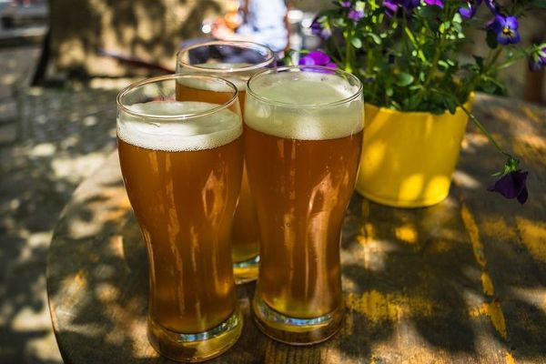 Des brasseries de Bourgogne ouvrent leurs portes à l'occasion de la Moisson des Brasseurs 