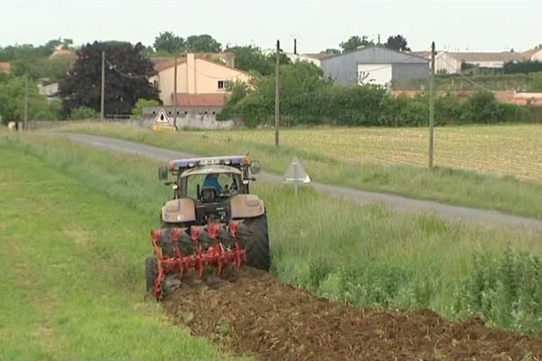 Sècheresse : les agriculteurs de Charente-Maritime inquiets avant l'été