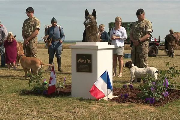 Inauguration du nouveau mémorial aux animaux morts pendant la guerre par the « Australian War Animal Memorial Organization ».