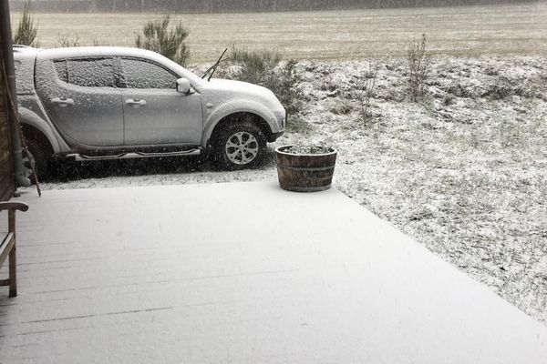 Début de matinée dans les Cévennes gardoises, La neige tombe à nouveau ce lundi à Camprieu.