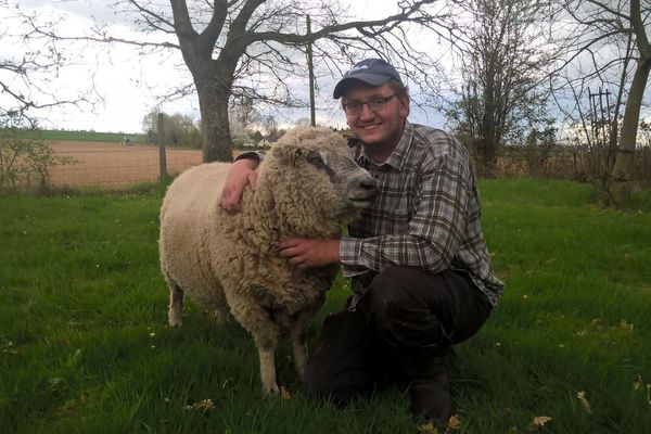 Benoît Clot avec Mimil, bélier de race avranchine de 4 ans. Il a été enlevé dans la nuit de lundi à mardi.