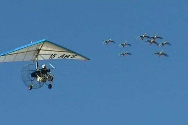 Ces images ont fait le tour du monde. Christian Moullec et ses vols en ULM accompagné de ses oies. A partir du 1er janvier prochain, l'homme aux oiseaux ne sera plus autorisé à décoller d'Aurillac. Le ciel unique européen en a décidé ainsi.