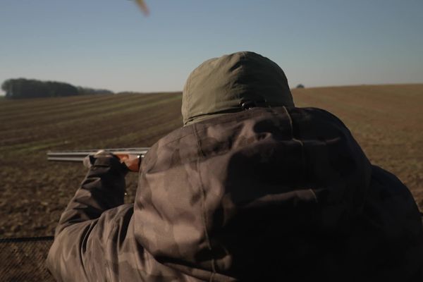 Les chasseurs pourront chasser la perdrix, le lièvre et le faisan à partir du 29 septembre.