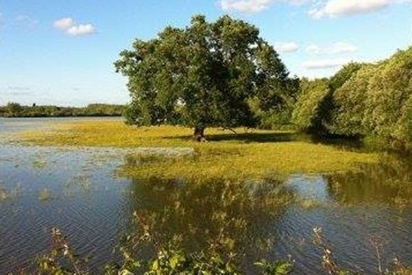 Les Landes à nouveau à l'honneur dans Cap Sud Ouest, samedi à 16H20