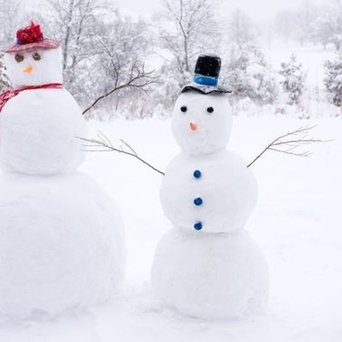 Meteo De La Neige Pour Le Mardi 9 Fevrier En Bretagne