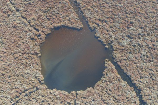 La signature de l’eau, ici en Camargue