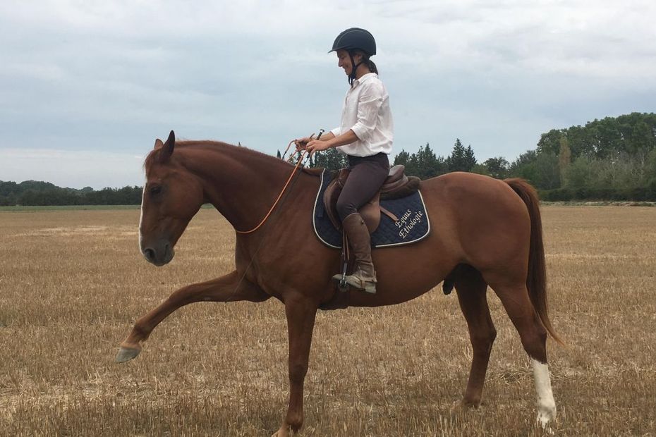 L'alimentation du cheval - Haras de La Cense