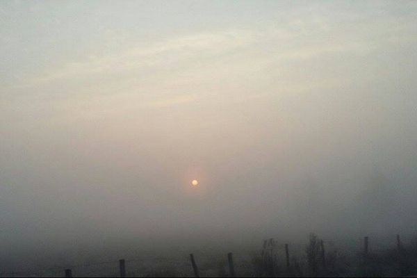 La campagne ligérienne au petit jour en mars